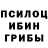 Псилоцибиновые грибы Magic Shrooms Snejana M