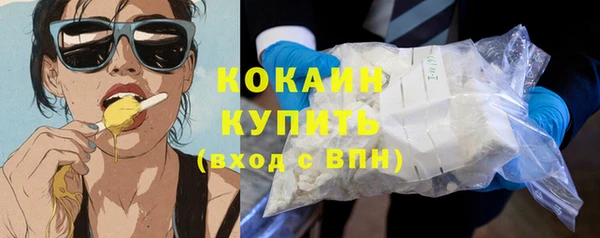 амф Вяземский