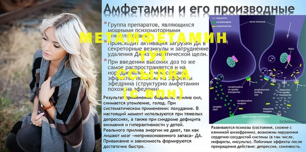 амф Вяземский