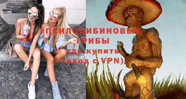 mdpv Горнозаводск
