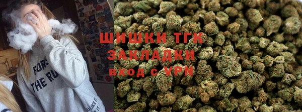 амф Вяземский