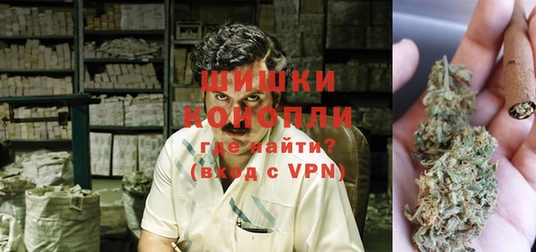 дживик Вязьма