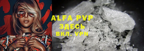 дживик Вязьма