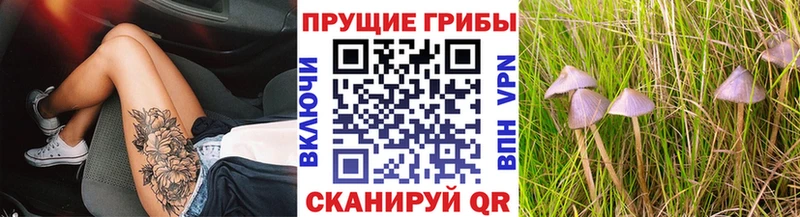 Купить Вилючинск Галлюциногенные грибы MAGIC MUSHROOMS
